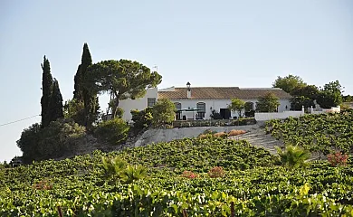 Casa Viña Santa Petronila en Jerez de la Frontera (Cádiz) - Foto 3