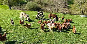 Casa Rural El Salvijo 002