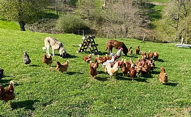 Casa Rural El Salvijo en Monte (Cantabria) - Foto 2