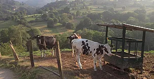 Posada el Remanso de Triviecu 002