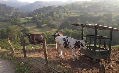 Posada el Remanso de Triviecu en La Cavada (Cantabria) - Foto 2