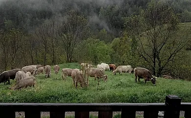 Can Serraima en Toses (Girona) - Foto 2