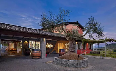 Ameztoi Experience en Getaria (Guipuzcoa) - Foto 1