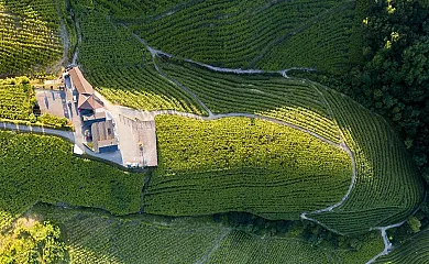 Ameztoi Experience en Getaria (Guipuzcoa) - Foto 2