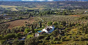 La Fuente de la Higuera 002