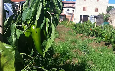 Casa Chana en Artajona (Navarra) - Foto 4