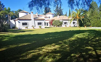 Cortijo el Chamorro en Alcala de Guadaira (Sevilla) - Foto 2