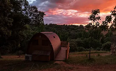 Cork Valley en Hontanar (Toledo) - Foto 5
