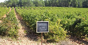 Hotel Rural Entreviñas 002