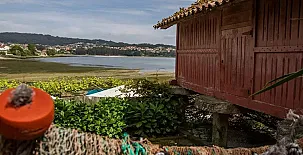 Xeitoxiña 0014