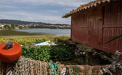 Xeitoxiña en Combarro (Pontevedra) - Foto 14