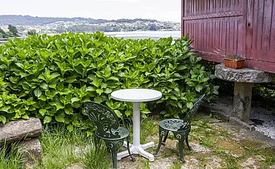 Xeitoxiña en Combarro (Pontevedra) - Foto 17