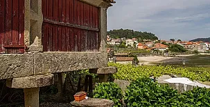 Xeitoxiña 0018