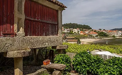 Xeitoxiña en Combarro (Pontevedra) - Foto 18