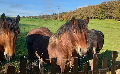 Solapetxea Loft Rural con Cocina en Álava en Elosu (Álava) - Foto 5