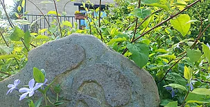 Solapetxea Loft Rural con Cocina en Álava 0010