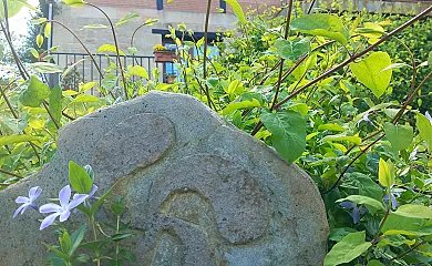 Solapetxea Loft Rural con Cocina en Álava en Elosu (Álava) - Foto 10