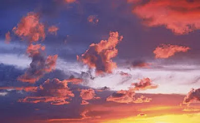 La Noria Olaya en Santa Cruz de Mudela (Ciudad Real) - Foto 8