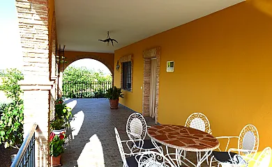 La Noria Olaya en Santa Cruz de Mudela (Ciudad Real) - Foto 4