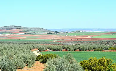 La Noria Olaya en Santa Cruz de Mudela (Ciudad Real) - Foto 12