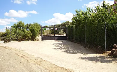 La Noria Olaya en Santa Cruz de Mudela (Ciudad Real) - Foto 13