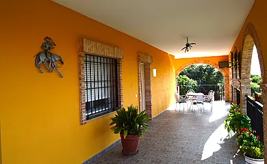 La Noria Olaya en Santa Cruz de Mudela (Ciudad Real) - Foto 9