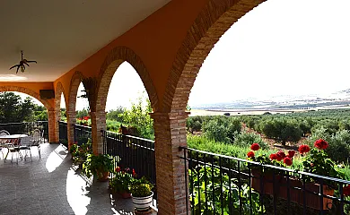 La Noria Olaya en Santa Cruz de Mudela (Ciudad Real) - Foto 6