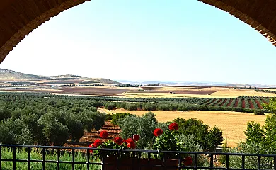 La Noria Olaya en Santa Cruz de Mudela (Ciudad Real) - Foto 7