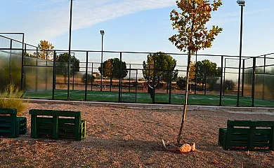 Casa Rural La Florentina en Santa Cruz de Mudela (Ciudad Real) - Foto 4