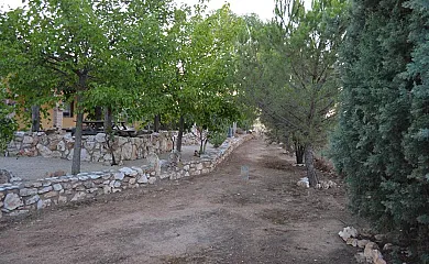 Casa Rural La Florentina en Santa Cruz de Mudela (Ciudad Real) - Foto 13