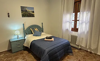 El Olivo en Alatoz (Albacete) - Foto 2