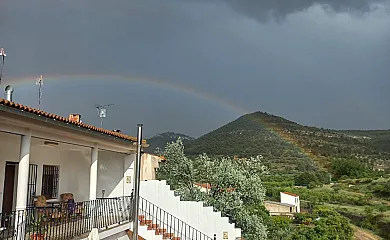 El Olivo en Alatoz (Albacete) - Foto 6