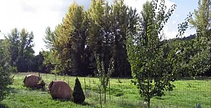 Casa Rural La Mirla 0016