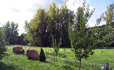 Casa Rural La Mirla en Fuenteheridos (Huelva) - Foto 16