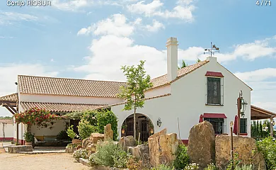 Casa Rural Cortijo Riosur en Benalup. Casas Viejas (Cádiz) - Foto 3