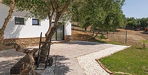 Finca Florida 004