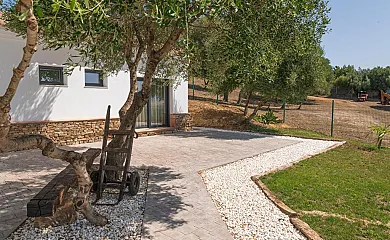 Finca Florida en Benalup. Casas Viejas (Cádiz) - Foto 4