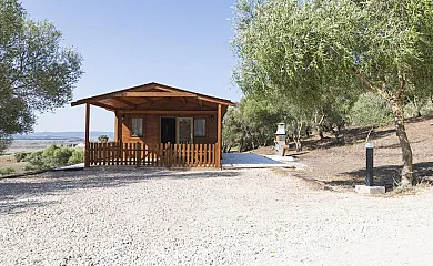Finca Florida en Benalup. Casas Viejas (Cádiz) - Foto 3
