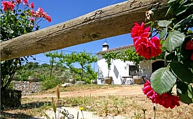 Maripasa en Cazalla de la Sierra (Sevilla) - Foto 7