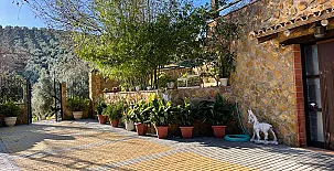 Vivienda Rural Huerta del Cura 003