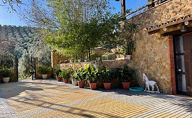 Vivienda Rural Huerta del Cura en Mogón (Jaén) - Foto 3