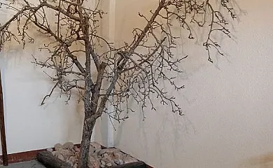 Apartamentos Calanda en Calanda (Teruel) - Foto 8