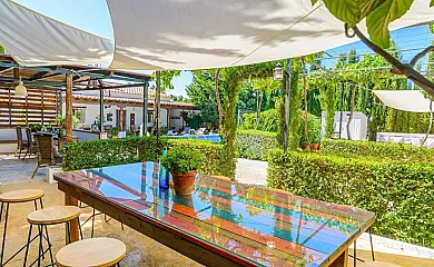 Casa Rural-Padel Entreolivos en Iznalloz (Granada) - Foto 3