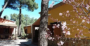 Complejo Rural Arco Iris 004