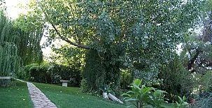 Casas Rurales en Alcaraz 0025