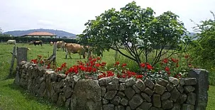 Vivienda Vacacional El Prado de la Romía 0010