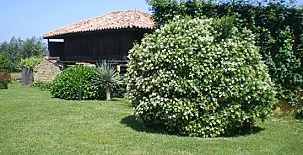 Vivienda Vacacional El Prado de la Romía 0020