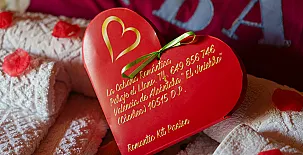 La Cabaña Romántica  Del Llano 0014