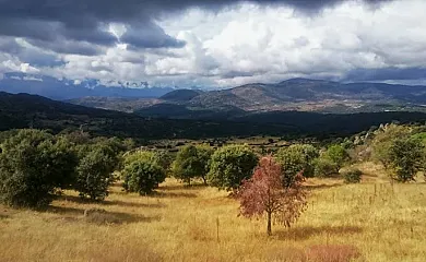 Casa Tío Peguero en San Bartolome de Pinares (Ávila) - Foto 20
