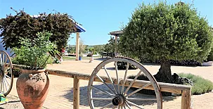 Arcos de la Viña 0010